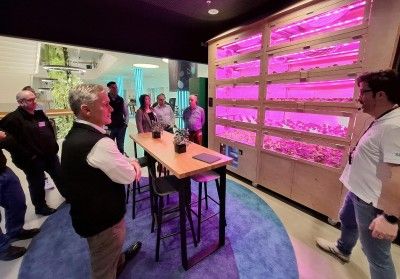 Technische L&ouml;sungen f&uuml;r Vertical Gardening