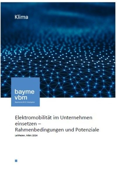 Elektromobilität im Unternehmen einsetzen – Rahmenbedingungen und Potenziale Elektromobilität im Unternehmen einsetzen – Rahmenbedingungen und Potenziale